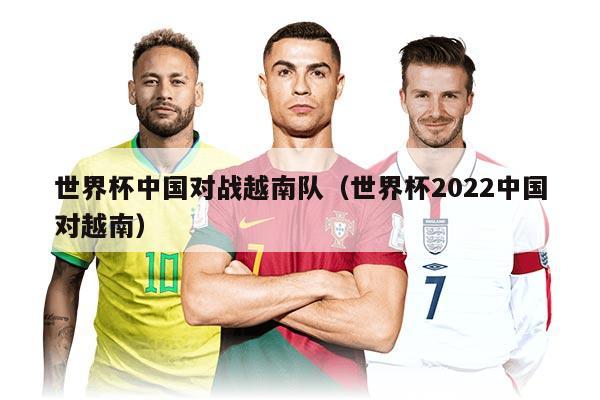 世界杯中国对战越南队（世界杯2022中国对越南）