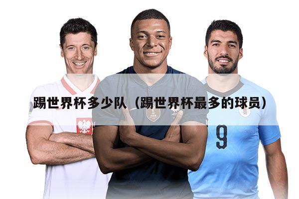 踢世界杯多少队（踢世界杯最多的球员）