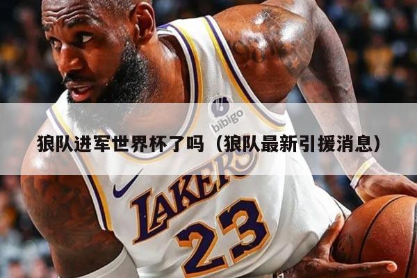 狼队进军世界杯了吗（狼队最新引援消息）