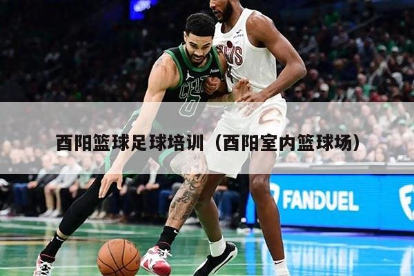 酉阳篮球足球培训（酉阳室内篮球场）