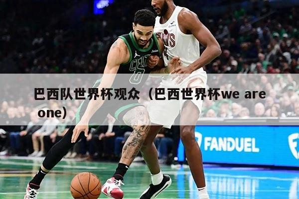 巴西队世界杯观众（巴西世界杯we are one）