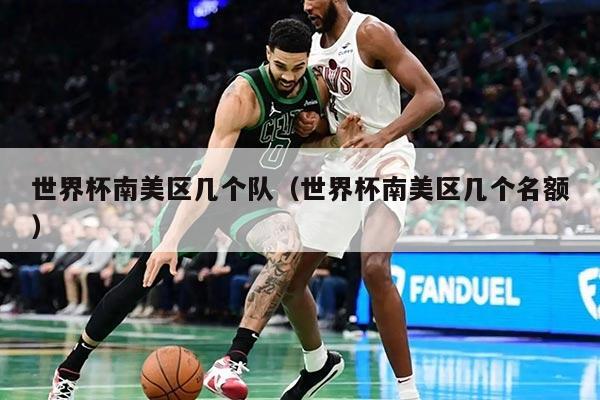 世界杯南美区几个队（世界杯南美区几个名额）